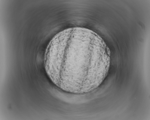 X0000113980040200910161633