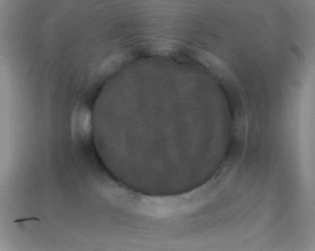 X0000113980041200910161633