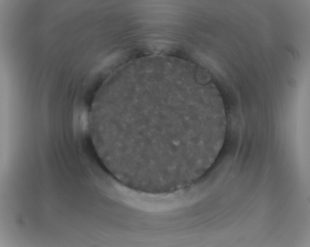 X0000113980042200910161633