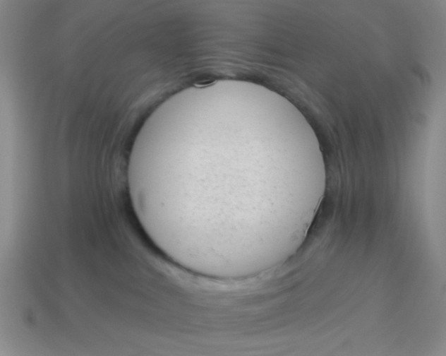 X0000113980043200910161633