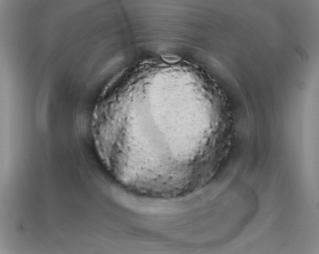 X0000113980044200910161633