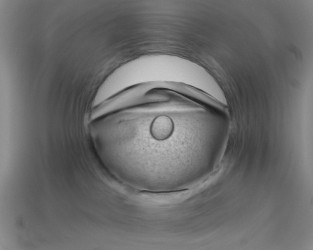 X0000113980045200910161633