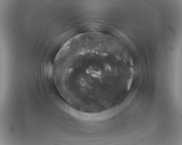 X0000113980046200910161633