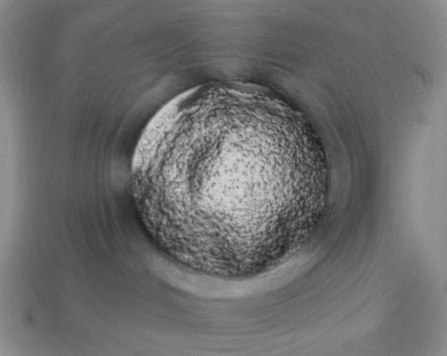 X0000113980048200910161633