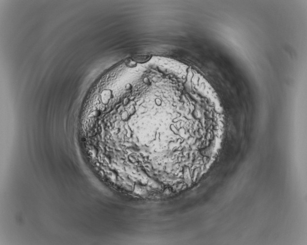 X0000113980049200910161632