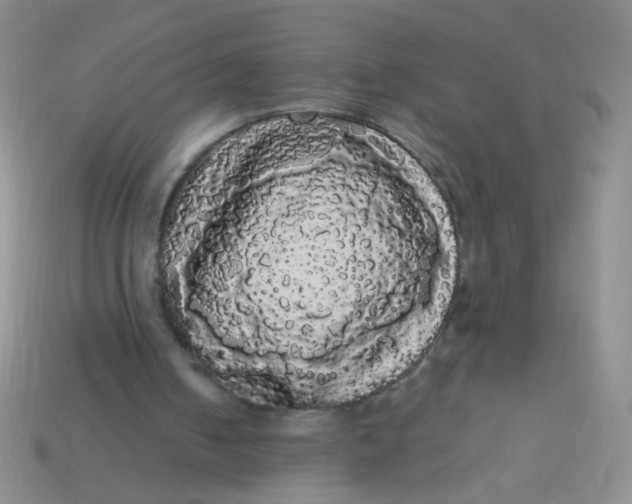 X0000113980050200910161632