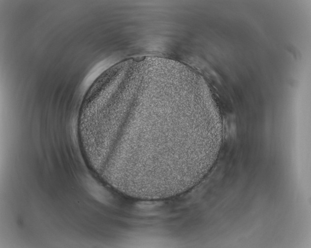 X0000113980051200910161632