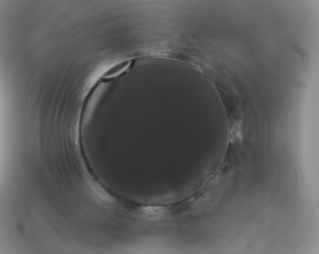 X0000113980052200910161632