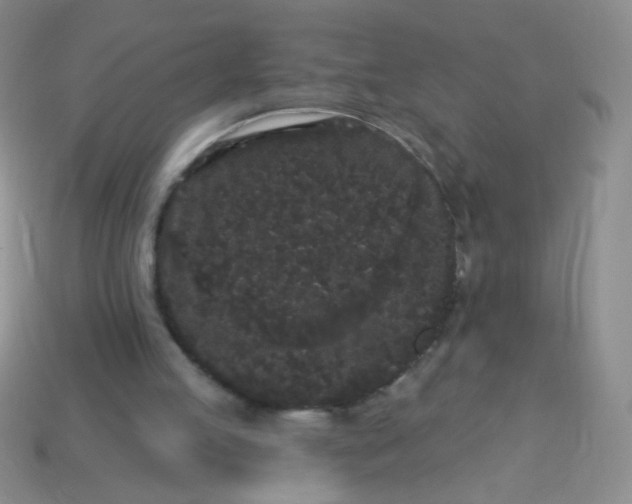 X0000113980053200910161632