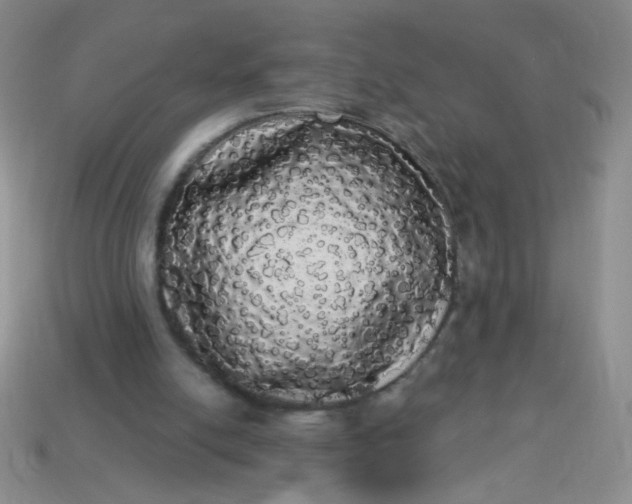 X0000113980054200910161632