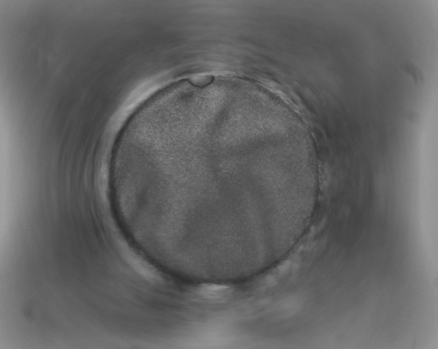 X0000113980055200910161632