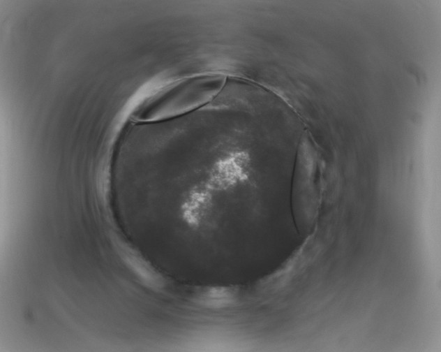 X0000113980056200910161632