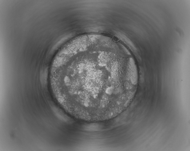 X0000113980058200910161632