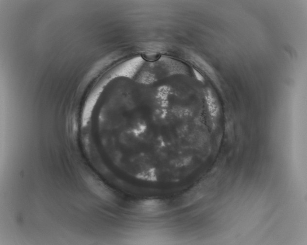 X0000113980059200910161632