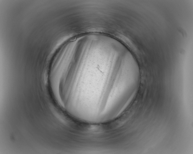 X0000113980060200910161632