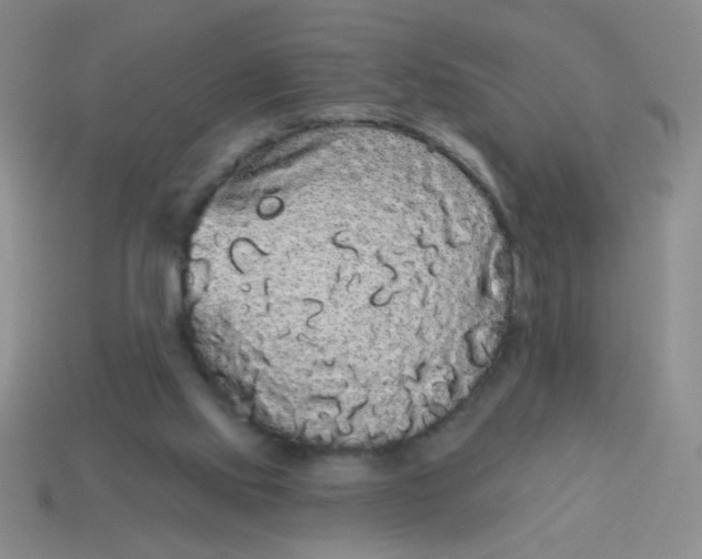 X0000113980061200910161632