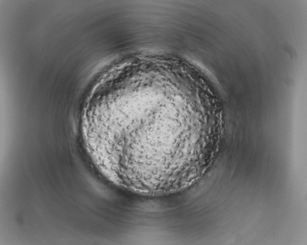 X0000113980062200910161632