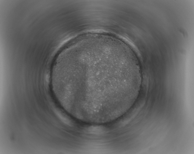 X0000113980063200910161632