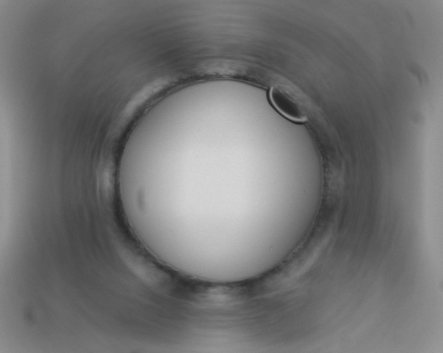 X0000113980064200910161632