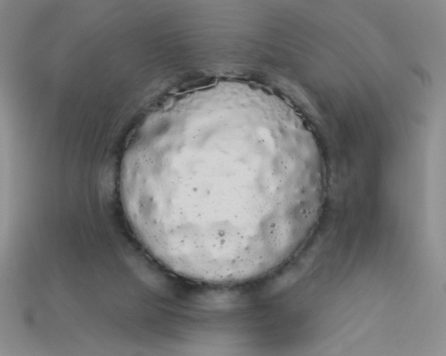 X0000113980065200910161632