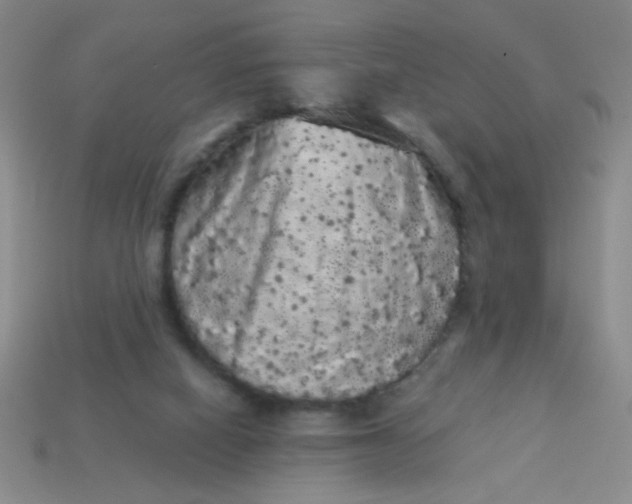 X0000113980066200910161632