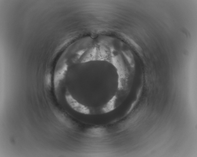 X0000113980067200910161632