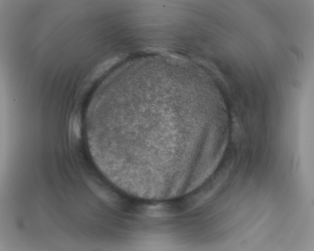 X0000113980068200910161633