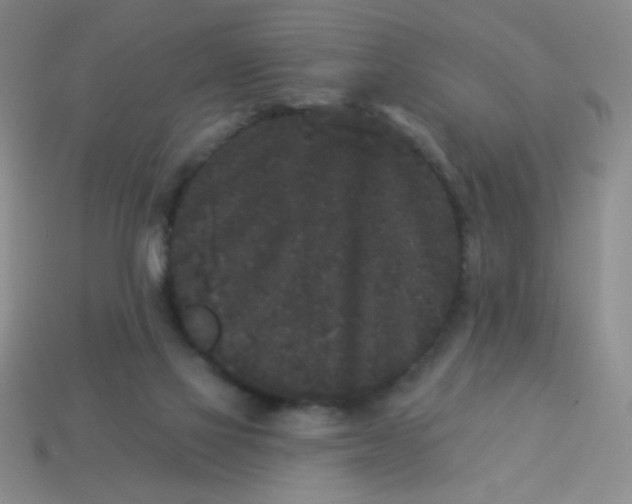 X0000113980069200910161633