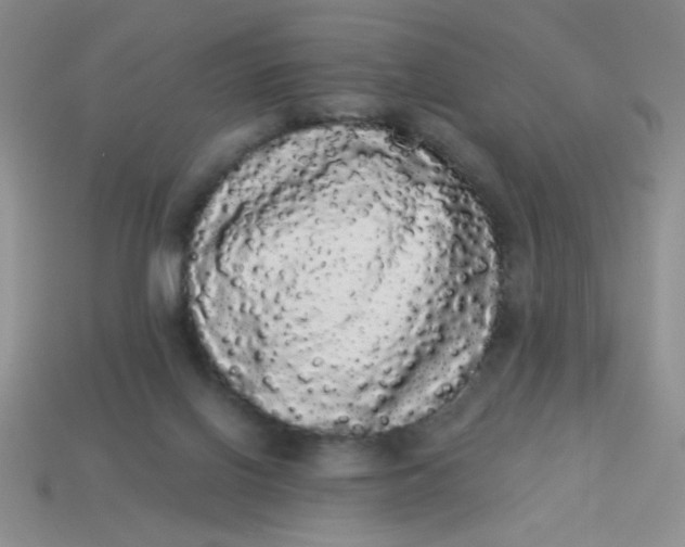 X0000113980070200910161633