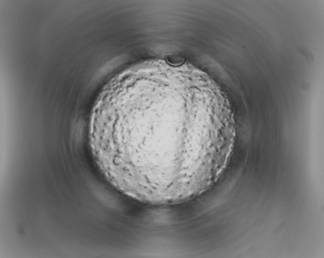 X0000113980071200910161633