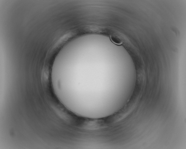 X0000113980072200910161633