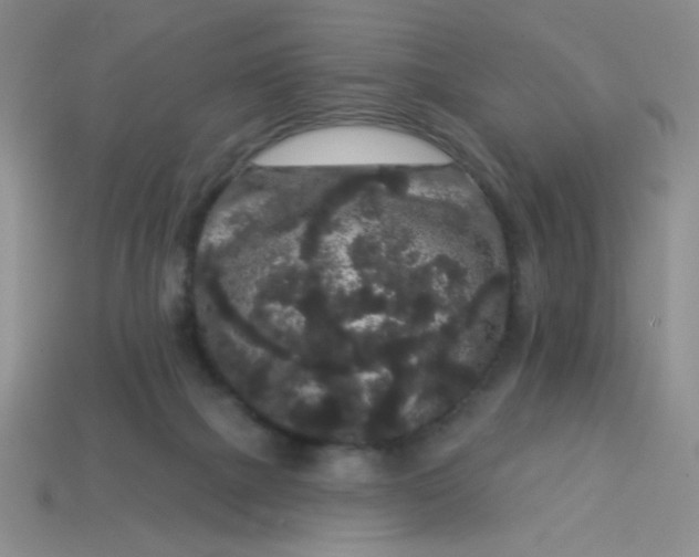 X0000113980073200910161633