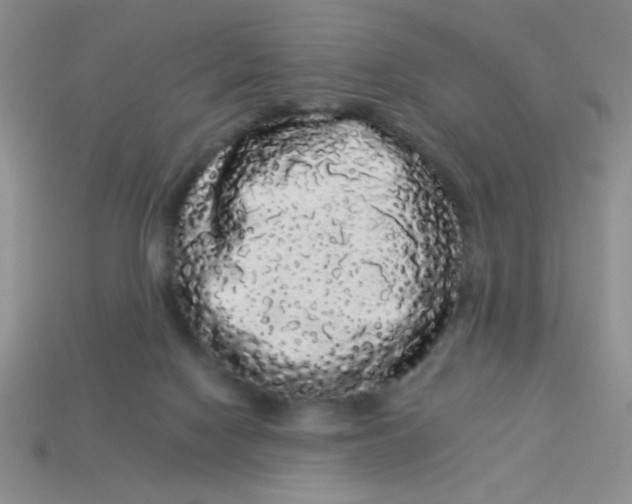 X0000113980074200910161633