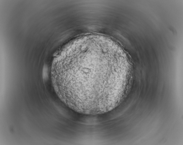 X0000113980075200910161633