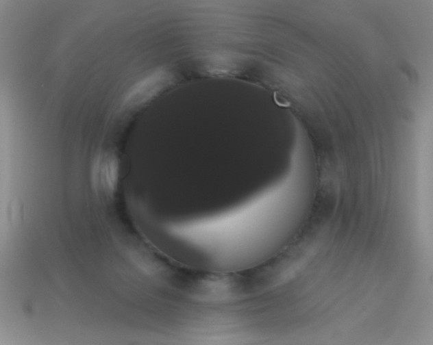 X0000113980076200910161633