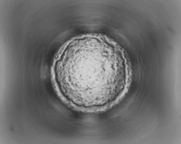 X0000113980077200910161633