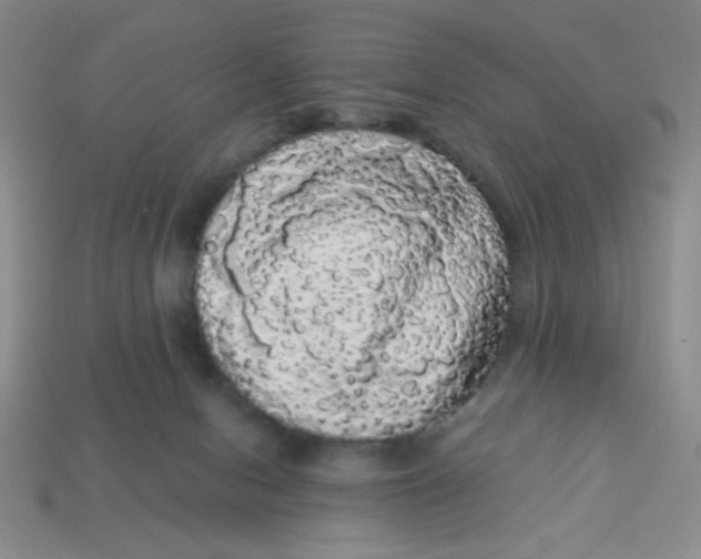 X0000113980078200910161633