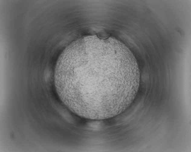 X0000113980079200910161633