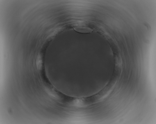 X0000113980080200910161633