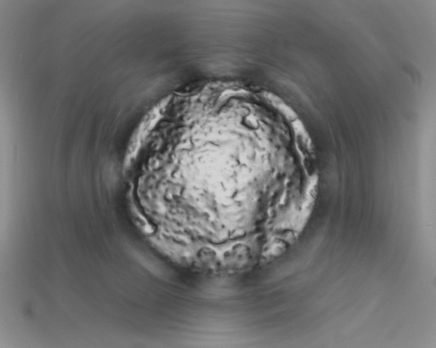 X0000113980081200910161633