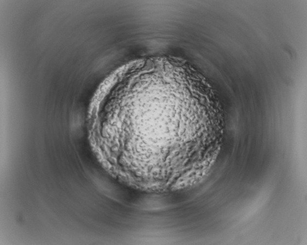 X0000113980082200910161633