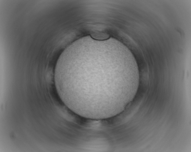 X0000113980083200910161633