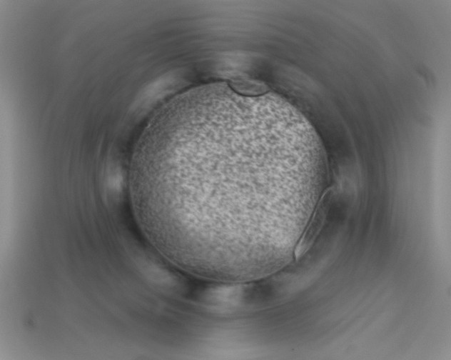 X0000113980084200910161633