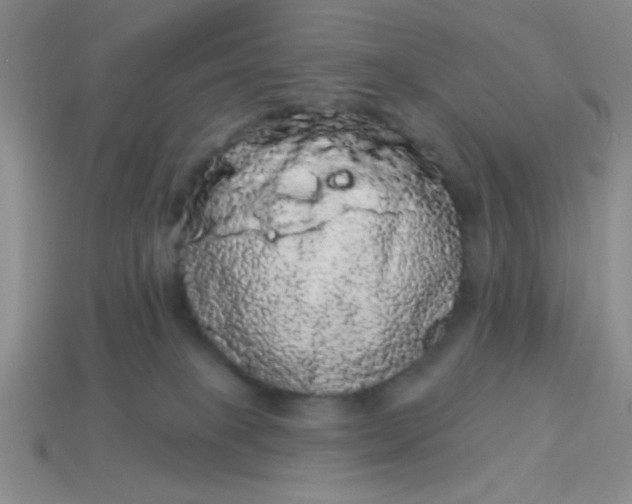 X0000113980085200910161633