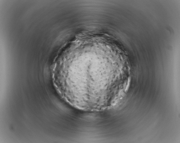 X0000113980086200910161633