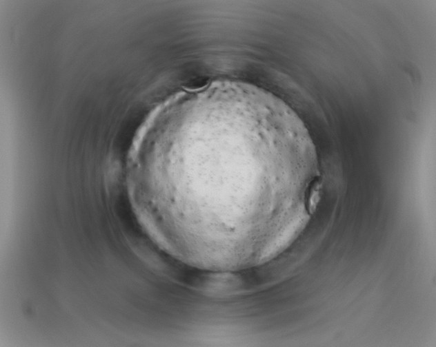 X0000113980087200910161633