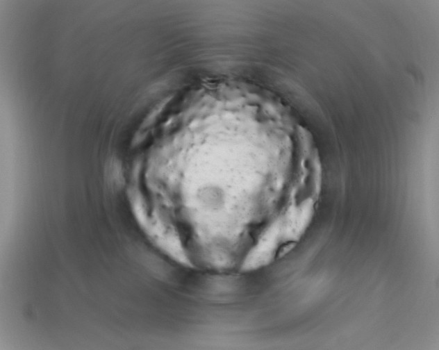 X0000113980089200910161633