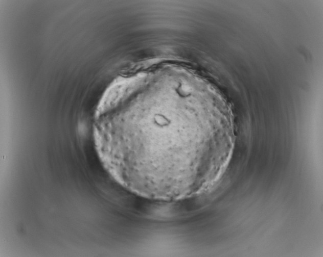 X0000113980090200910161633