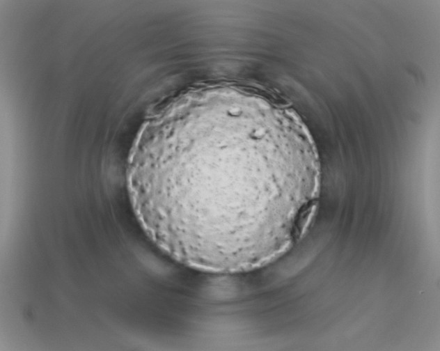 X0000113980091200910161633