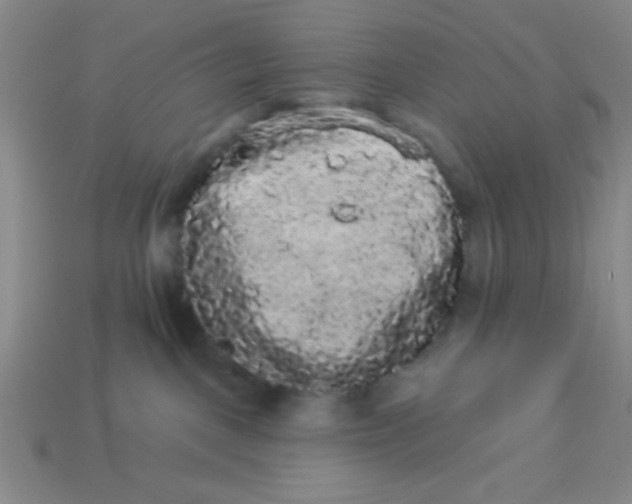 X0000113980093200910161633